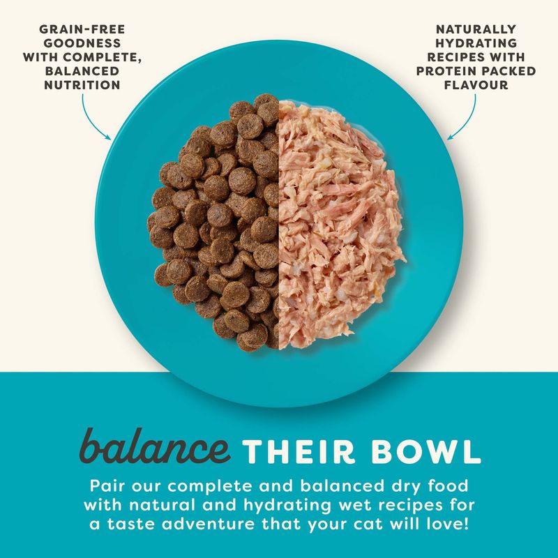 Plate with dry food and wet food, Text: Grain-free goodness with complete, balanced nutrition. Naturally hydrating recipes with protein-packed flavour.