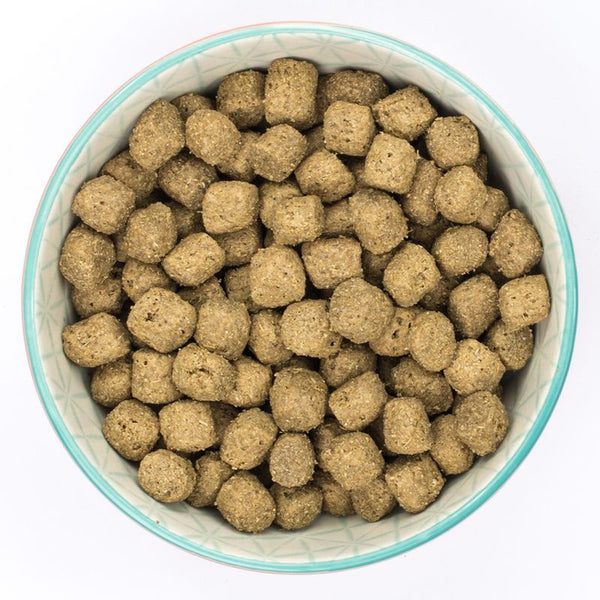 Burns Puppy Original - Lamb & Rice || Burns || view 5