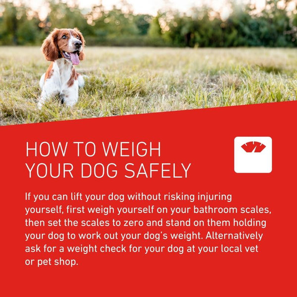 FRONTLINE® Wormer XL Tablets for Dogs || Frontline || view 6