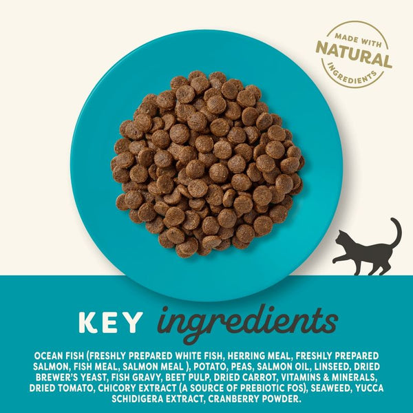 Applaws Cat Food Economy Packs || Applaws || view 15