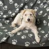Pawty Fleece Blanket || zooplus Exclusive || view 5