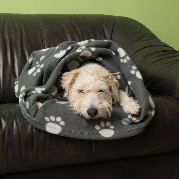 Pawty Fleece Blanket || zooplus Exclusive || view 14