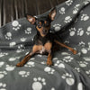 Pawty Fleece Blanket || zooplus Exclusive || view 4