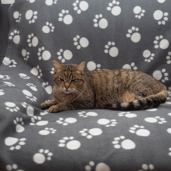 Pawty Fleece Blanket || zooplus Exclusive || view 18