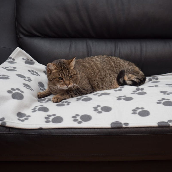 Pawty Fleece Blanket || zooplus Exclusive || view 20