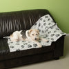Pawty Fleece Blanket || zooplus Exclusive || view 9