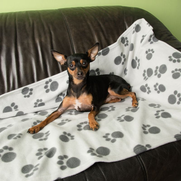 Pawty Fleece Blanket || zooplus Exclusive || view 19