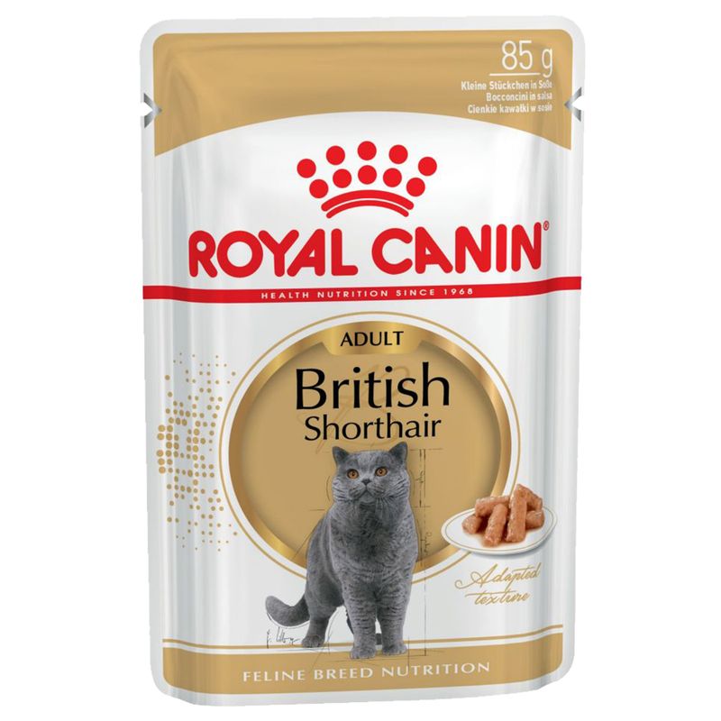 Royal Canin British Shorthair Adult in Gravy || undefined || view 2