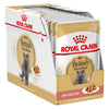 Royal Canin British Shorthair Adult in Gravy || undefined || view 6