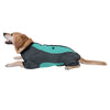 Dog Overall - Mint || zooplus Exclusive || view 14