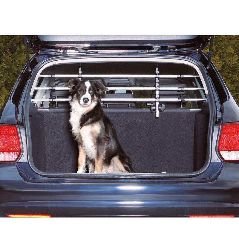 Dog sitting in the boot of a car with installed safety grille partition for secure transport.
