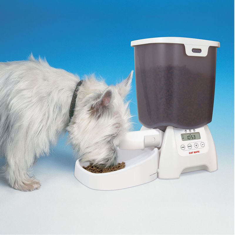 Cat Mate automatic feeder with digital display, filled with dry food. Dog eating from the food bowl.