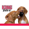 KONG Extreme Ball || KONG || view 4