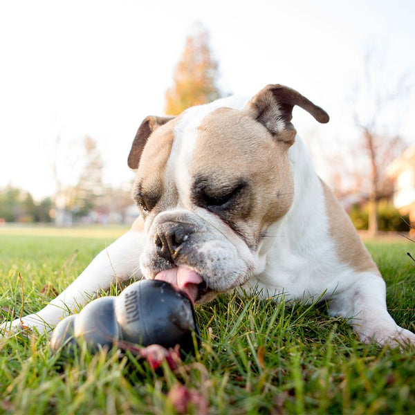 KONG Extreme - Black || KONG || view 5