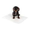 zooplus Puppy Trainer Pads || zooplus Exclusive || view 6