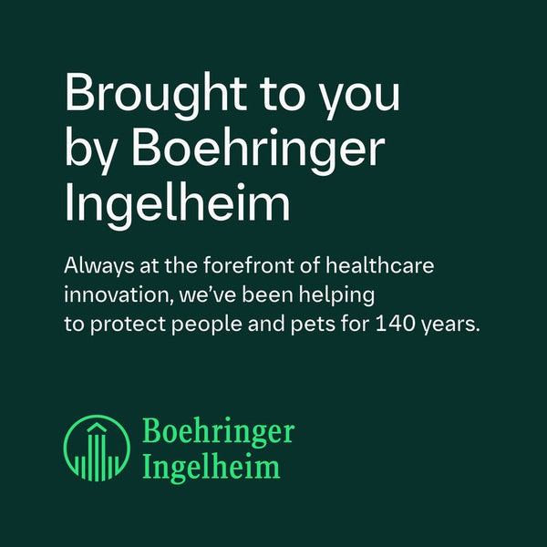 FRONTLINE® Wormer Tablets for Dogs || Frontline || view 7