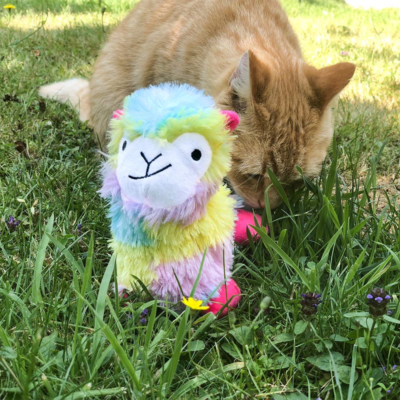 Plush toy in llama shape with colourful fur, sitting on a meadow. In the background, an orange cat in the grass.