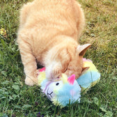 Red cat playing with a colourful plush toy shaped like a llama on grass.