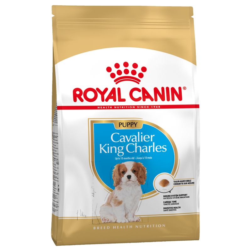 Royal Canin Cavalier King Charles Puppy || Royal Canin Breed || view 2