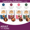 IAMS Advanced Nutrition Adult – Land & Sea Collection || undefined || view 3
