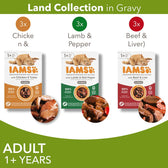 IAMS Advanced Nutrition Adult – Land Collection in Gravy || IAMS || view 2