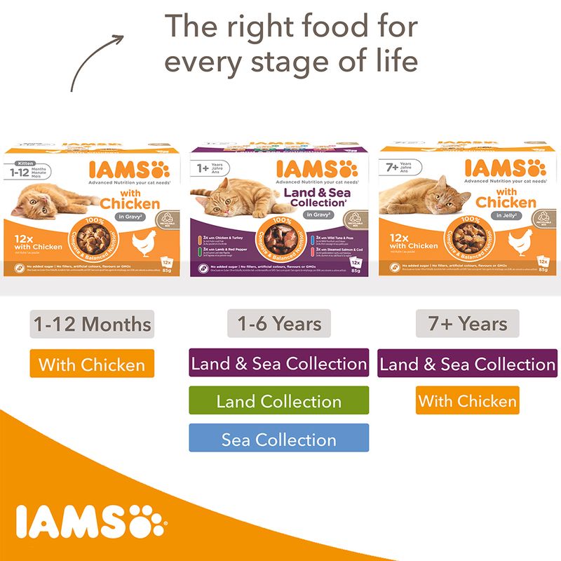 IAMS Advanced Nutrition Adult – Land Collection in Gravy || IAMS || view 5