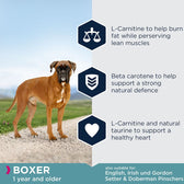 Eukanuba Boxer Adult || Eukanuba || view 4