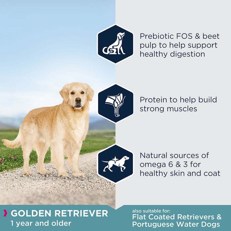 Eukanuba Golden Retriever Adult || Eukanuba || view 4