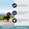 Eukanuba Dachshund Adult || Eukanuba || view 4