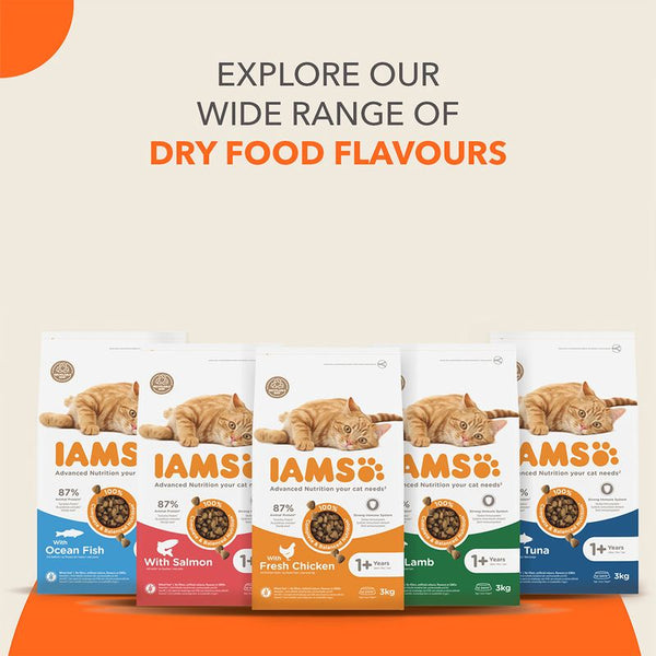 IAMS Advanced Nutrition Adult Cat with Salmon || IAMS || view 8