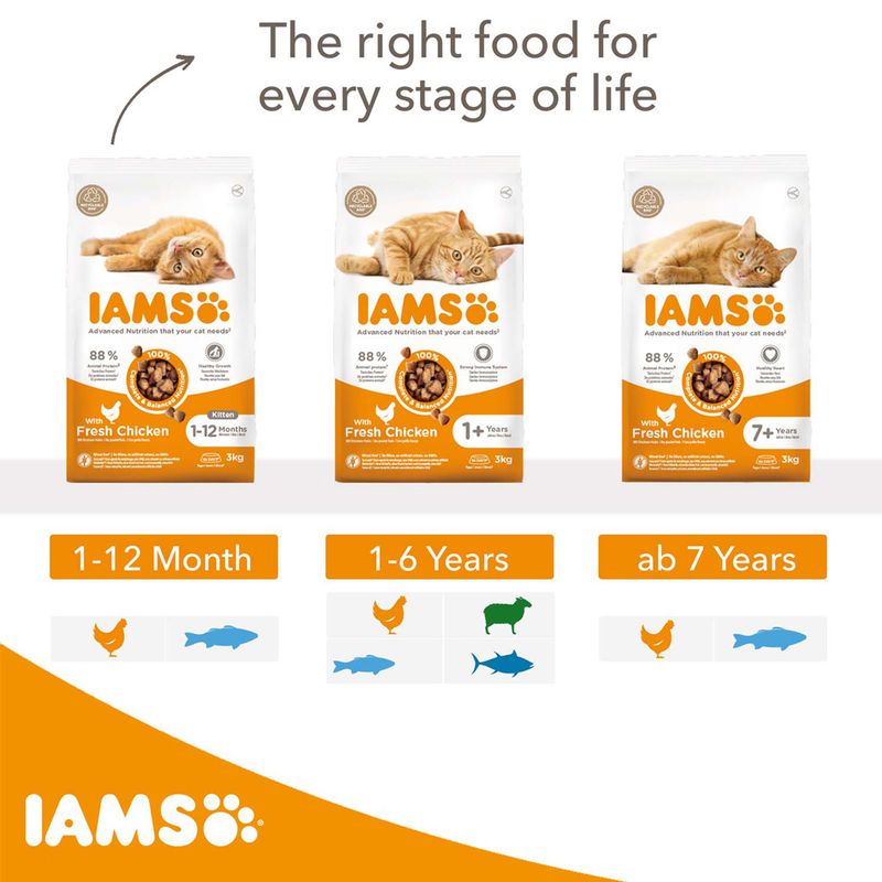 IAMS Advanced Nutrition Indoor Cat with Chicken || IAMS || view 8