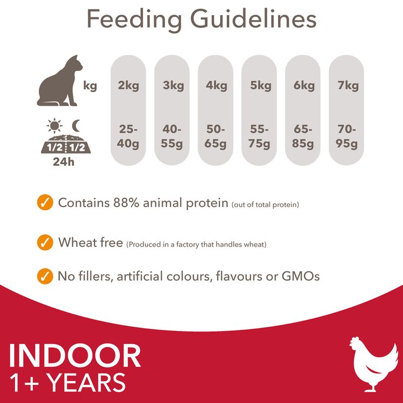 IAMS Advanced Nutrition Indoor Cat with Chicken || IAMS || view 6