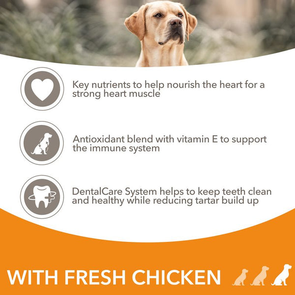 IAMS Advanced Nutrition Senior Large Dog 7+ with Chicken || undefined || view 3