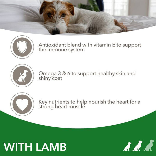IAMS Advanced Nutrition Adult Small & Medium Dog - Lamb || undefined || view 3