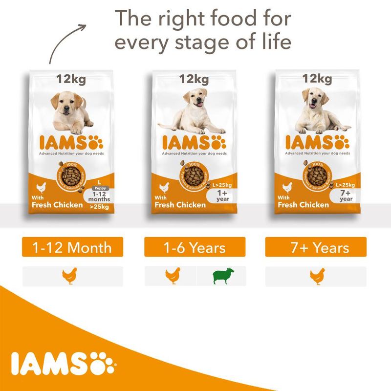 IAMS Advanced Nutrition Adult Large Dog - Lamb || IAMS || view 7