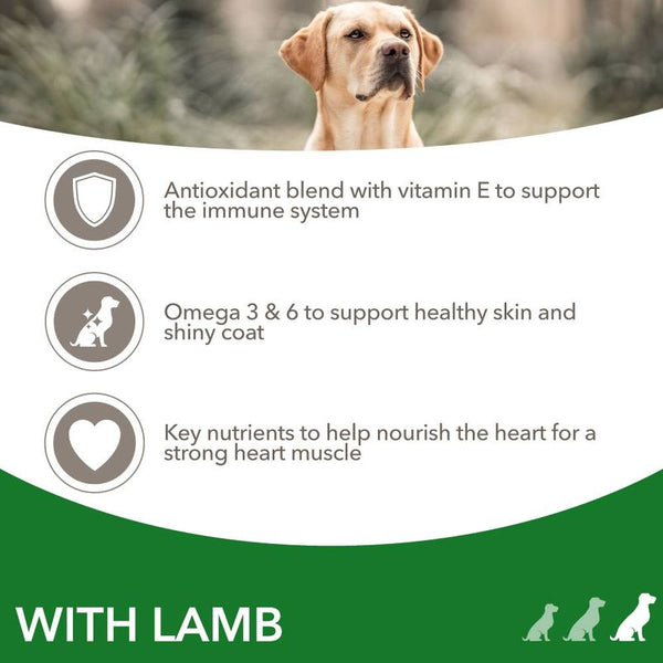 IAMS Advanced Nutrition Adult Large Dog - Lamb || IAMS || view 3