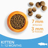 IAMS Advanced Nutrition Kitten with Ocean Fish || IAMS || view 4
