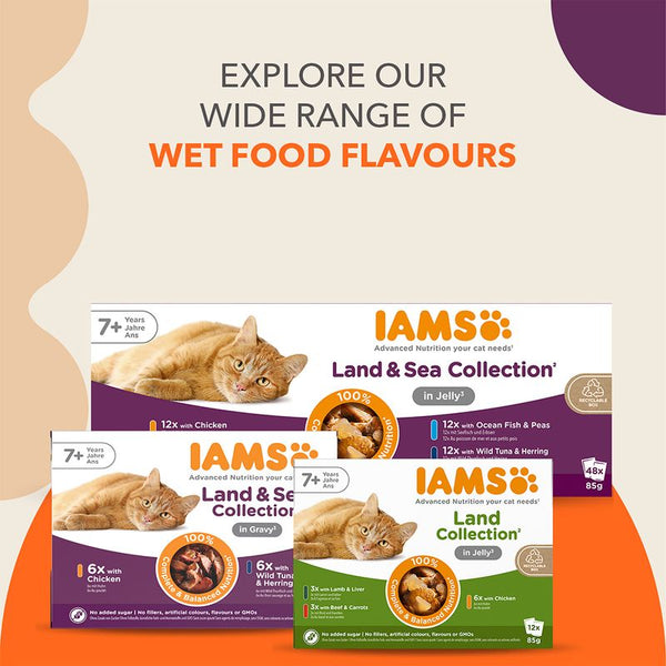 IAMS Advanced Nutrition Senior 7+ Land Collection in Jelly || IAMS || view 8