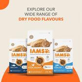 Explore our wide range of dry food flavours. Visible options: with tuna, with fresh chicken, with ocean fish. Suitable for cats aged 7 years and above. Each bag contains 3kg.