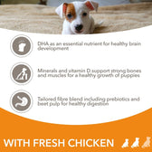 IAMS Advanced Nutrition Puppy & Junior Small & Medium Dog - Chicken || IAMS || view 4