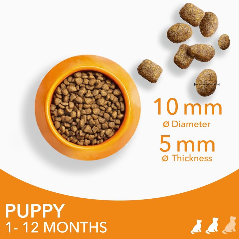 IAMS Advanced Nutrition Puppy & Junior Small & Medium Dog - Chicken || IAMS || view 5