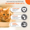 IAMS Advanced Nutrition Senior Cat 11+ with Chicken || IAMS || view 4
