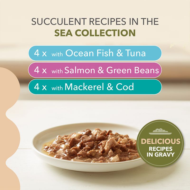 IAMS Advanced Nutrition Grain Free - Sea Collection in Gravy || IAMS || view 3