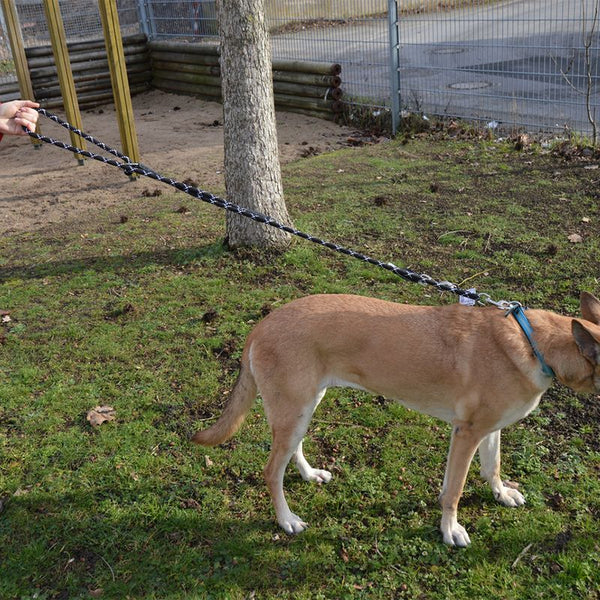 JULIUS-K9 IDC® Rope Lead || Julius-K9 || view 2