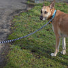 JULIUS-K9 IDC® Rope Lead || Julius-K9 || view 5