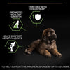 PURINA PRO PLAN Large Robust Puppy Healthy Start || undefined || view 5