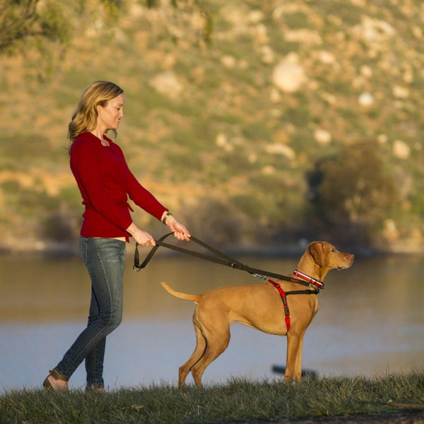 Halti Front Control Training Harness || Halti || view 2