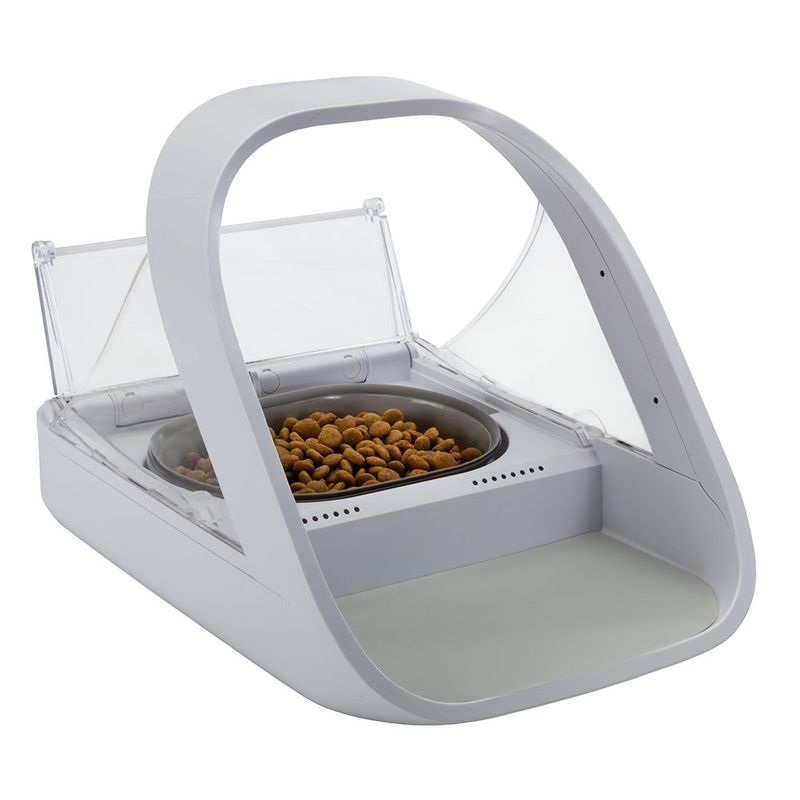 Automatic feeder with transparent lid and stainless steel bowl, filled with dry food.