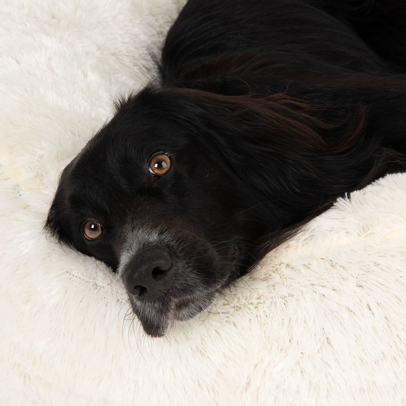 Pet lying on a fluffy, white bed, demonstrating comfort and use of the bedding product.