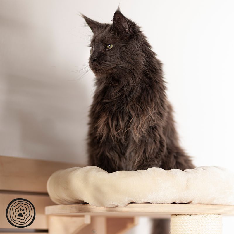 Dark grey cat sitting on a beige, padded wooden cat bed with scratching post element. Logo visible bottom left.